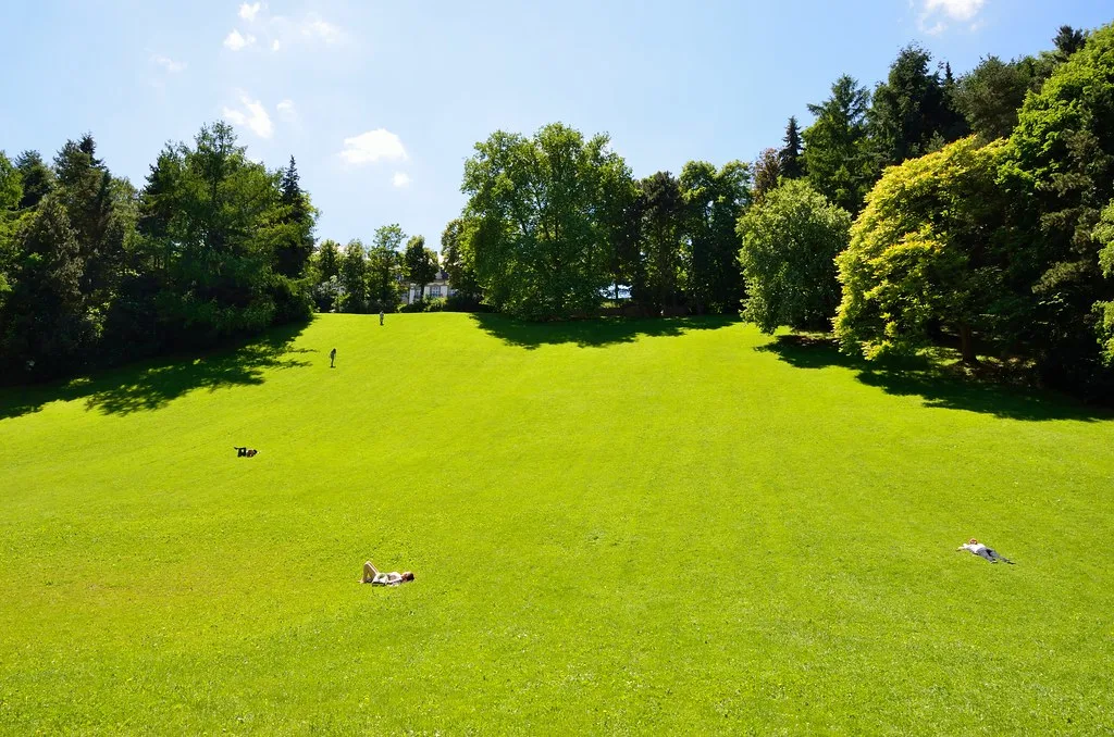 Quelle tondeuse pour 300, 500, 1 000 m² ou plus ?