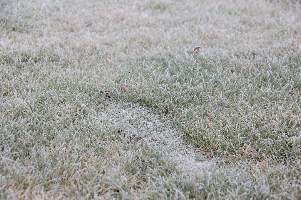 Comment préparer sa tondeuse thermique pour l'hiver, sans mauvaise surprise au printemps ?
