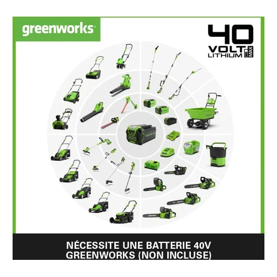 Autre vue : Tondeuse à batterie Greenworks G40LM41